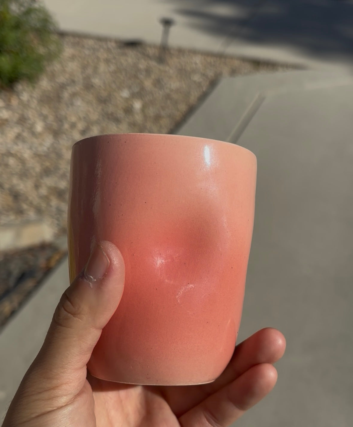 Pre-Order Fruit Cups 12oz/8oz