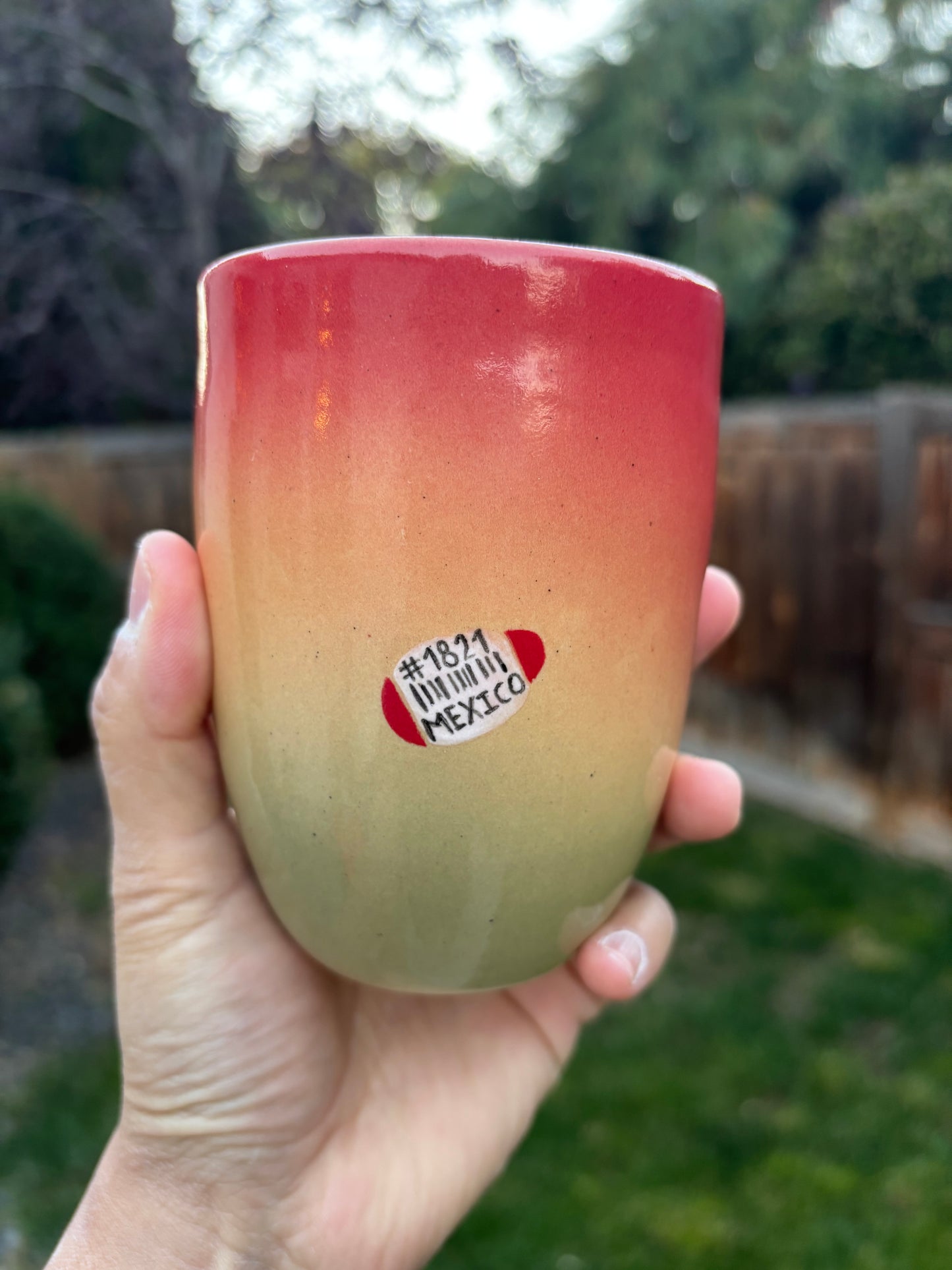 Pre-Order Mango cup in 12oz